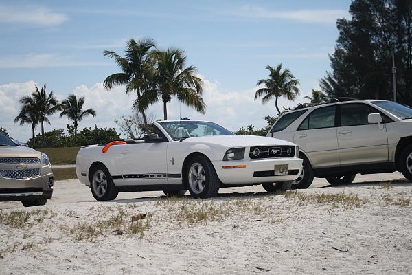 What did you do with your Mustang today?*-594a.jpg