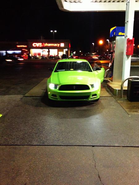 What did you do with your Mustang today?*-image-1019810269.jpg