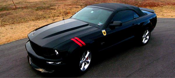 What did you do with your Mustang today?*-image-1737578772.jpg