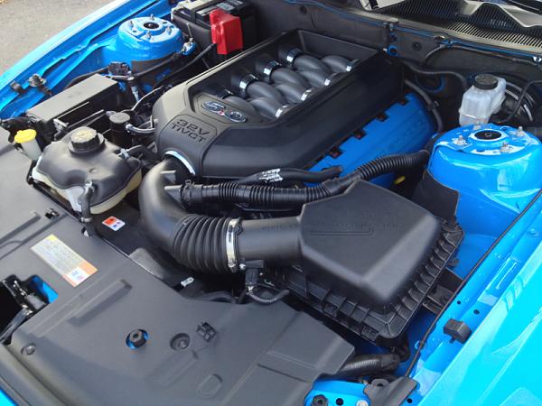 What did you do with your Mustang today?*-image-4014827751.jpg
