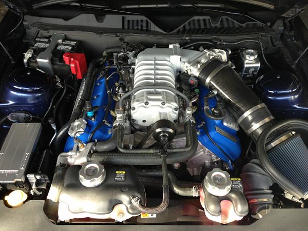 What did you do with your Mustang today?*-image-2613732630.jpg