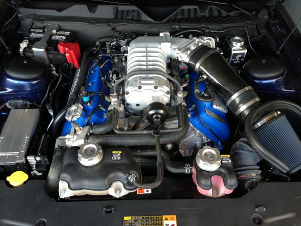 What did you do with your Mustang today?*-image-1697162493.jpg
