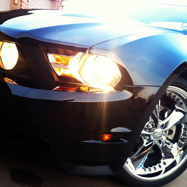What did you do with your Mustang today?*-image-2747066801.jpg