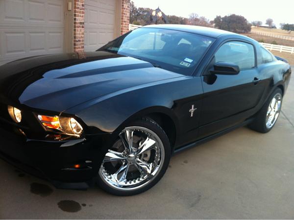What did you do with your Mustang today?*-image-1251955777.jpg