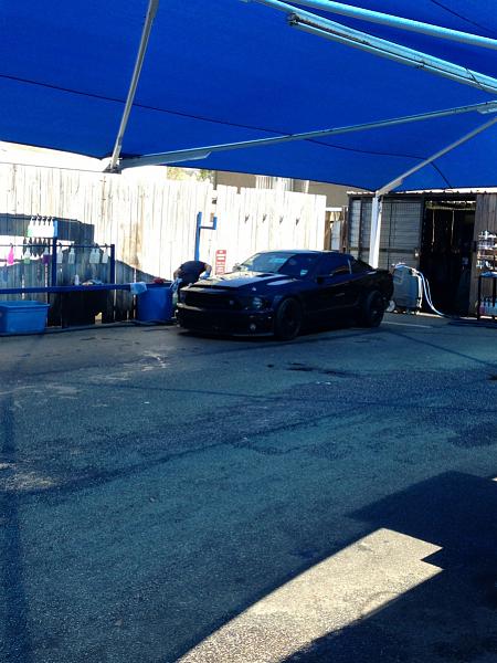 What did you do with your Mustang today?*-image-24951066.jpg