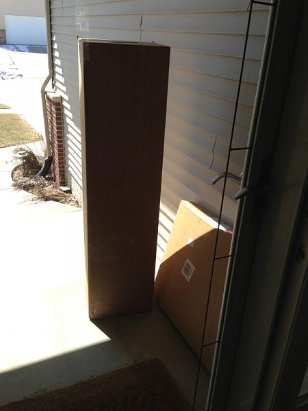 What did you do with your Mustang today?*-image-3333821446.jpg