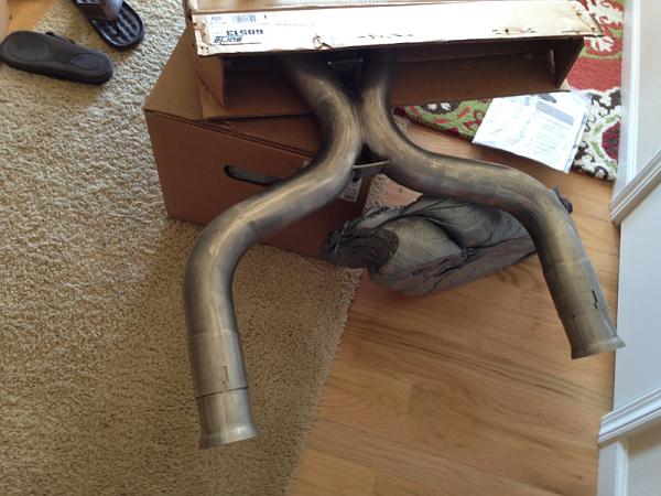 What did you do with your Mustang today?*-image-3912135392.jpg