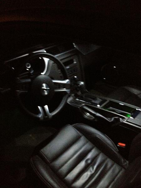 What did you do with your Mustang today?*-image-372473735.jpg