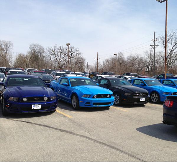 What did you do with your Mustang today?*-image-325281719.jpg