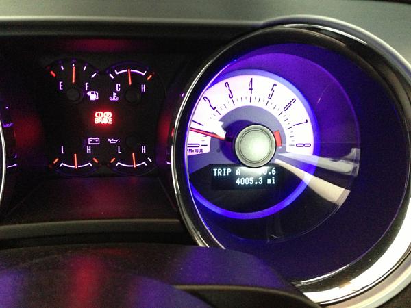 What did you do with your Mustang today?*-image-3882797855.jpg