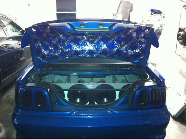 What did you do with your Mustang today?*-image-3677016516.jpg