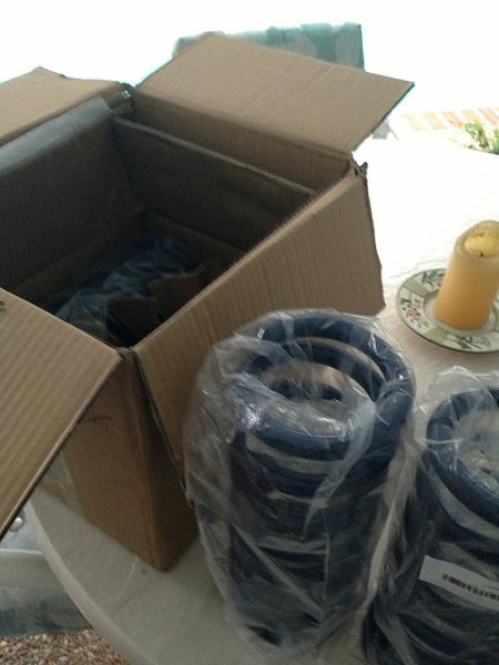 What did you do with your Mustang today?*-image-1489027954.jpg