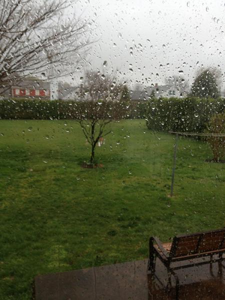 What did you do with your Mustang today?*-image-3343014635.jpg