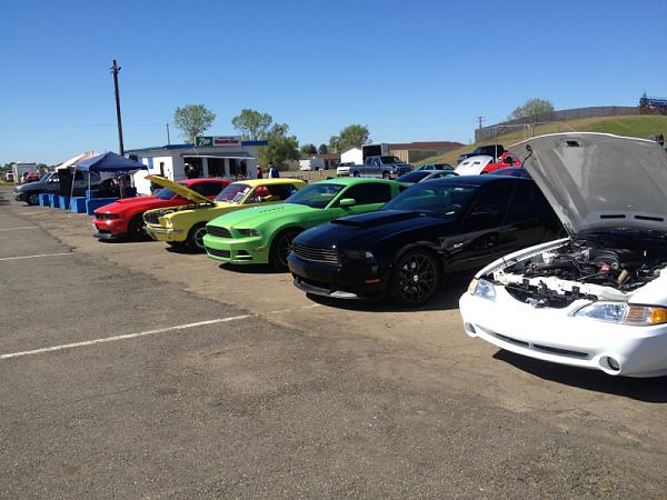 What did you do with your Mustang today?*-image-3605856670.jpg