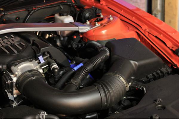 What did you do with your Mustang today?*-image-4219075683.jpg