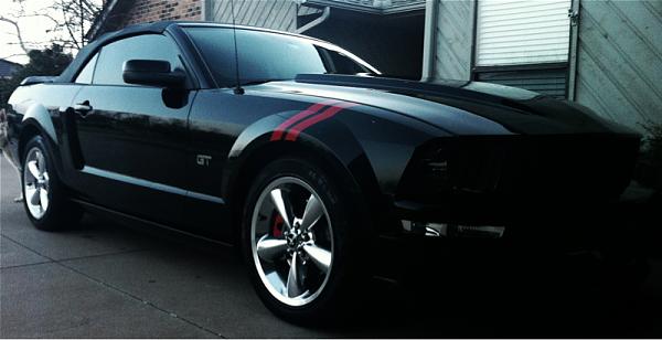 What did you do with your Mustang today?*-image-2304300268.jpg