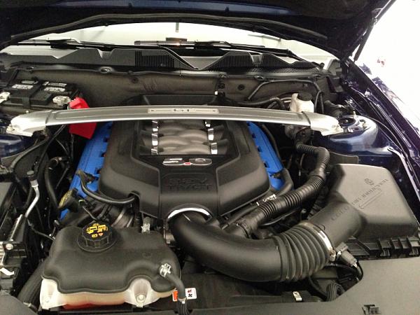 What did you do with your Mustang today?*-image-3681188761.jpg