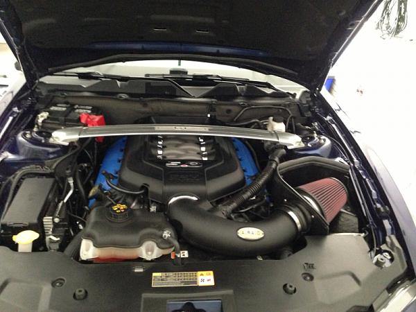 What did you do with your Mustang today?*-image-732052619.jpg