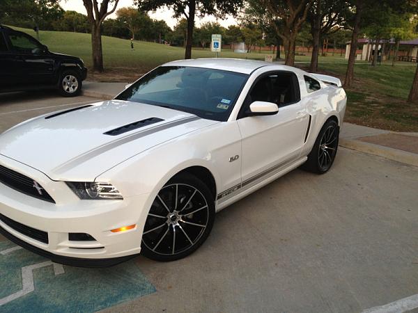 What did you do with your Mustang today?*-image-2990127490.jpg