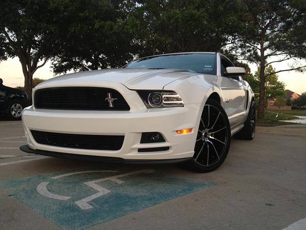 What did you do with your Mustang today?*-image-2828995228.jpg