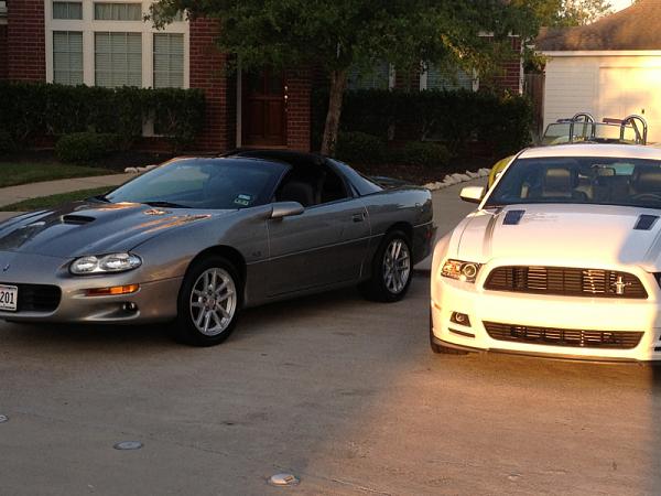 What did you do with your Mustang today?*-image-3098640253.jpg