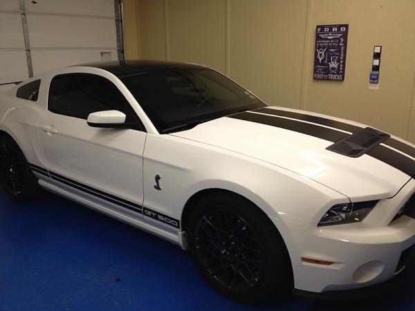 What did you do with your Mustang today?*-image-2634828840.jpg