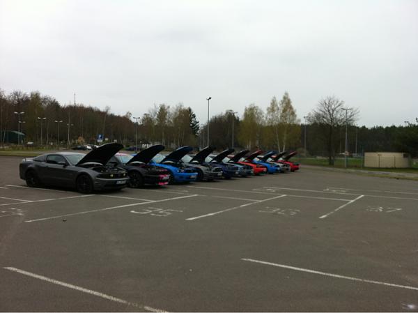 What did you do with your Mustang today?*-image-42430823.jpg