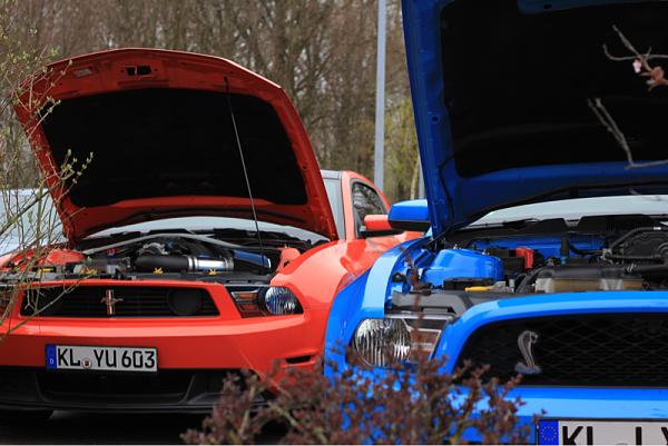 What did you do with your Mustang today?*-image-3135933328.jpg