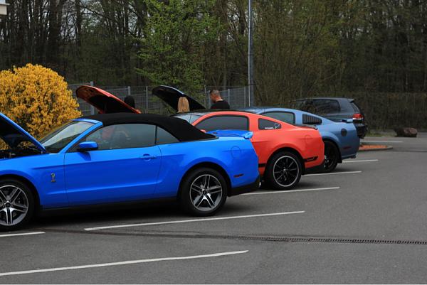 What did you do with your Mustang today?*-image-112700119.jpg