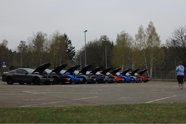 What did you do with your Mustang today?*-image-674165642.jpg