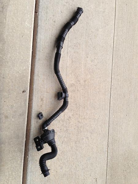 What did you do with your Mustang today?*-image-2308709169.jpg