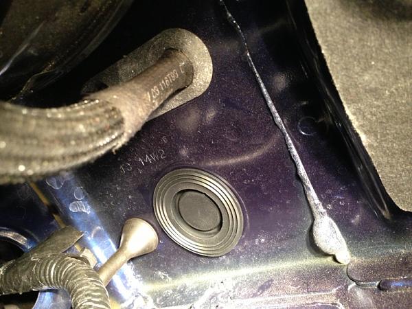 What did you do with your Mustang today?*-image-3025544720.jpg