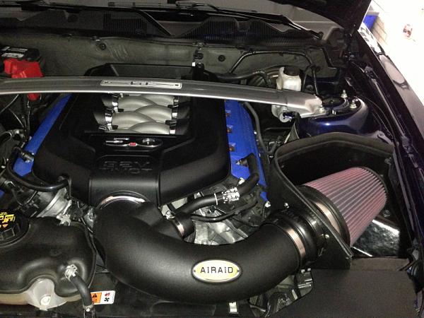 What did you do with your Mustang today?*-image-3251944539.jpg