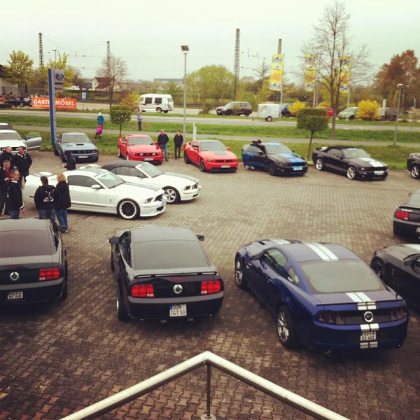 What did you do with your Mustang today?*-image-3319809701.jpg