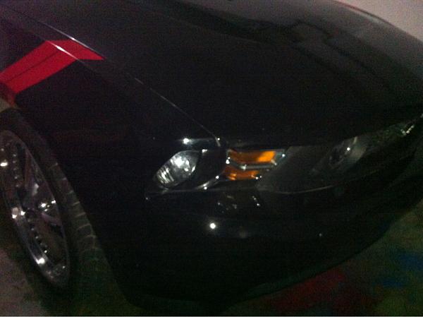 What did you do with your Mustang today?*-image-1115198462.jpg