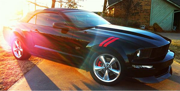 What did you do with your Mustang today?*-image-3877918998.jpg