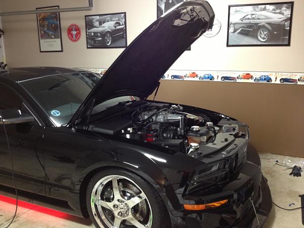 What did you do with your Mustang today?*-image-1046323585.jpg