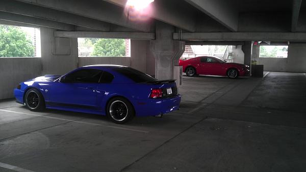 What did you do with your Mustang today?*-imag1213.jpg