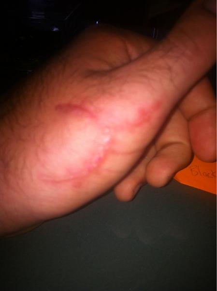 What did you do with your Mustang today?*-image-2315896799.jpg