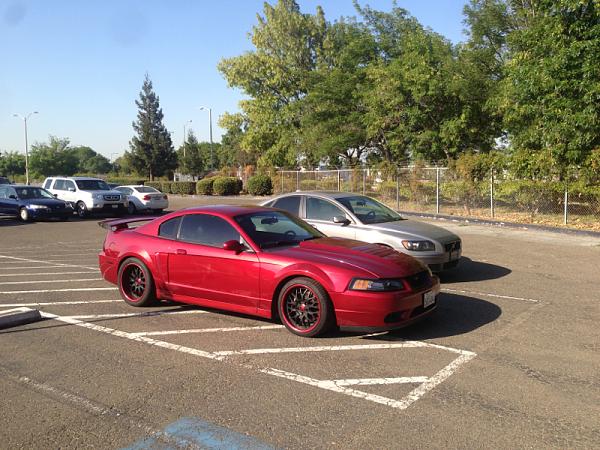 What did you do with your Mustang today?*-image-1709784949.jpg