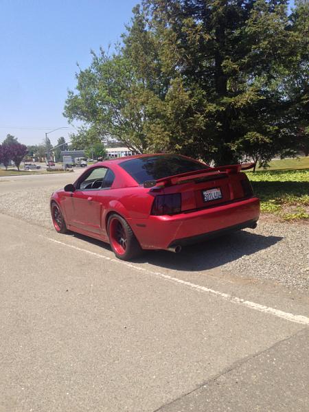 What did you do with your Mustang today?*-image-1055541726.jpg