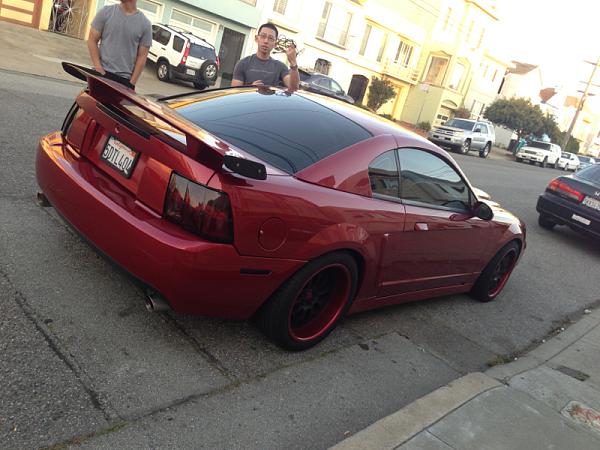 What did you do with your Mustang today?*-image-630987305.jpg