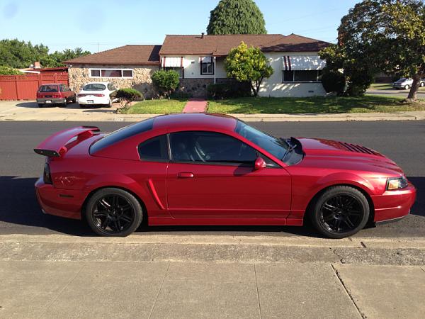 What did you do with your Mustang today?*-image-1732479430.jpg