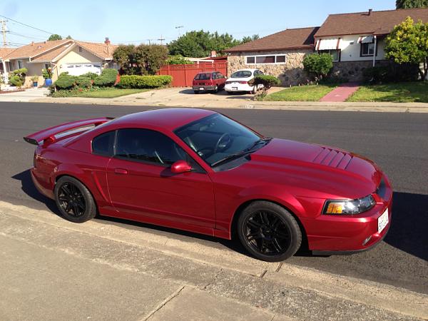 What did you do with your Mustang today?*-image-1936898619.jpg