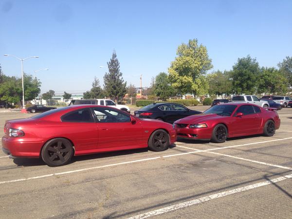 What did you do with your Mustang today?*-image-3006687518.jpg