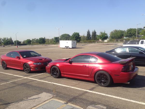 What did you do with your Mustang today?*-image-2190223683.jpg