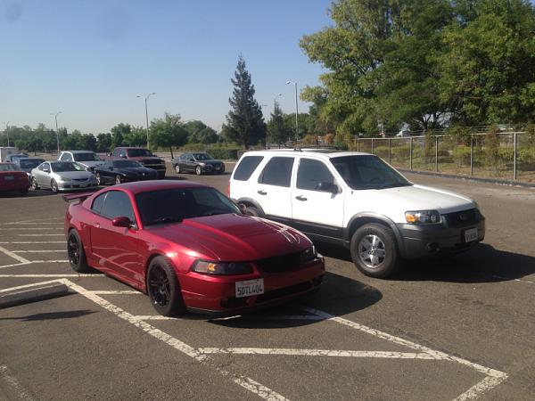 What did you do with your Mustang today?*-image-3381607121.jpg