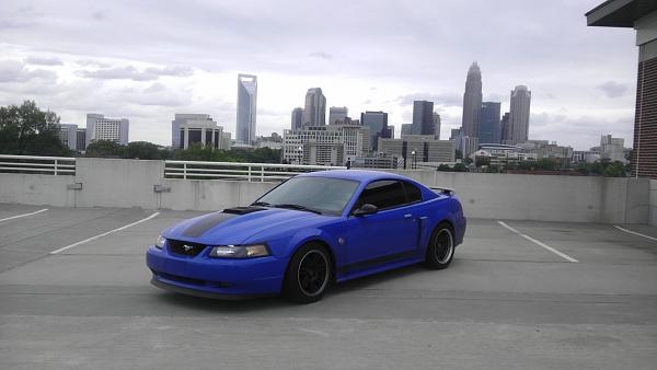 What did you do with your Mustang today?*-imag1218.jpg