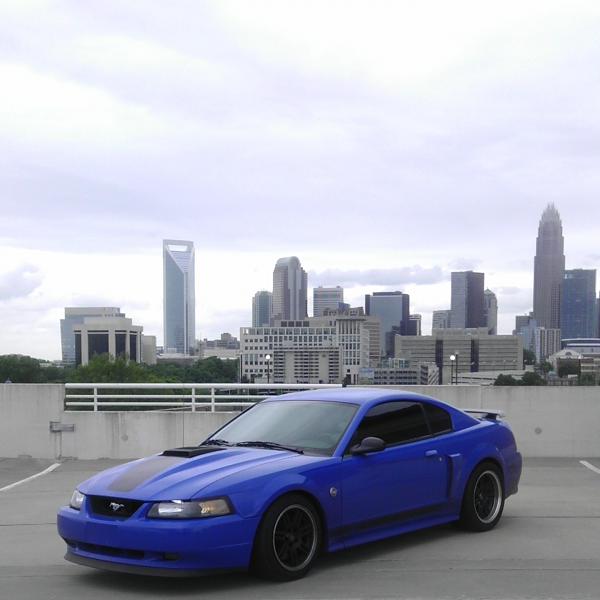 What did you do with your Mustang today?*-img_20130503_173441.jpg