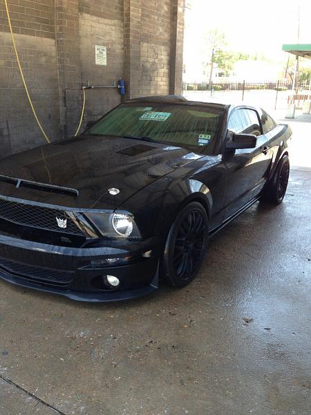 What did you do with your Mustang today?*-image-783441998.jpg